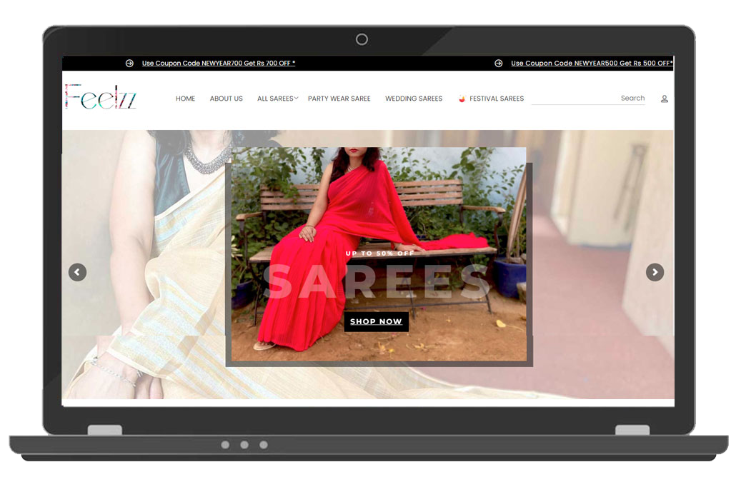 ecommerce website designing company in delhi India